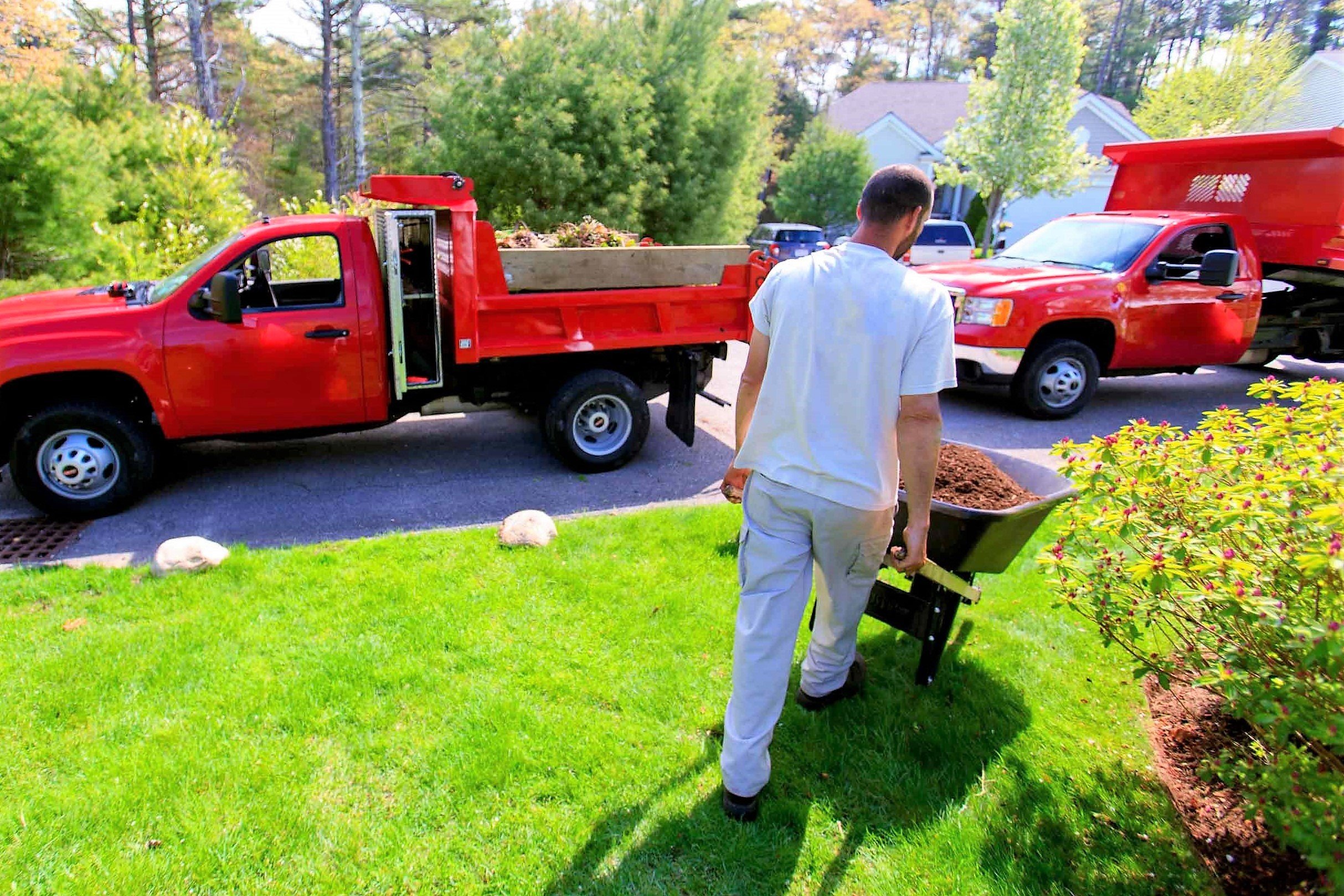 Landscaping-1